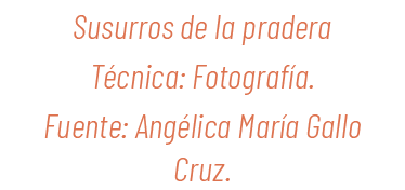 Susurros de la pradera T cnica: Fotograf a. Fuente: Ang lica Mar a Gallo Cruz.
