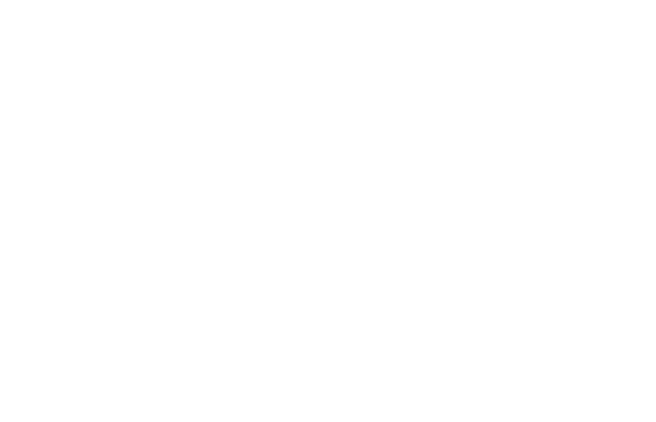 Exploraci n de las pr cticas art sticas: diversidad, amplitud y constancia 